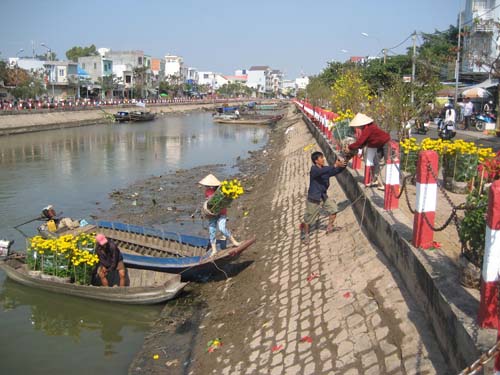 Không bán được, nhiều nhà vườn di chuyển hoa xuống ghe để chở về