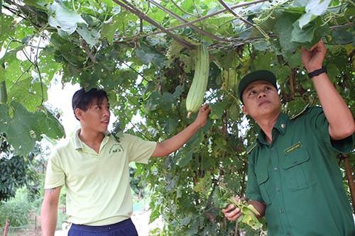 Lao động là một trong những hoạt động nhanh nhất giúp các học viên có thể có lại sức khoẻ để tái hoà nhập.