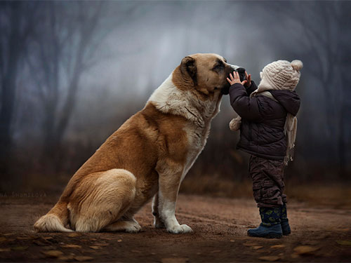 Thú cưng là người bạn đồng hành trung thành của bạn. Hãy xem hình ảnh thú cưng để cảm nhận tình yêu và sự quan tâm của chúng ta đối với chúng. Chúng ta có thể học hỏi rất nhiều về sự trung thành và tình yêu không điều kiện từ loài động vật này.