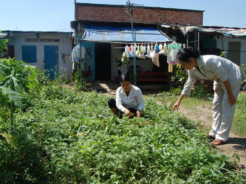 Bà Trần Thị Nở, chủ nhà trọ ở phường Linh Xuân, quận Thủ Đức, TP HCM đang cùng công nhân trồng rau xanh  ẢNH: KHÁNH AN