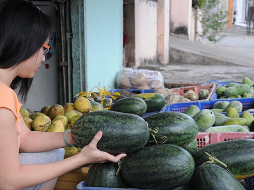 Rau và trái cây tươi giúp bảo vệ não Ảnh: Hồng Thúy