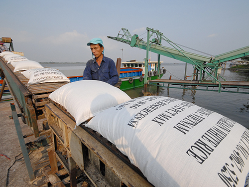 Tương lai hạt gạo Việt Nam không khá hơn khi có thêm ông lớn Vinafood 1 tham gia đàm phán các hợp đồng xuất khẩu
Ảnh: 
NGỌC TRINH