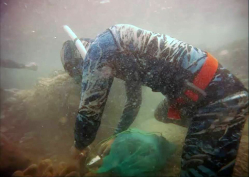 Các thành viên đang gom rác dưới đáy biển Ảnh: Minh Quân - Viet Diver