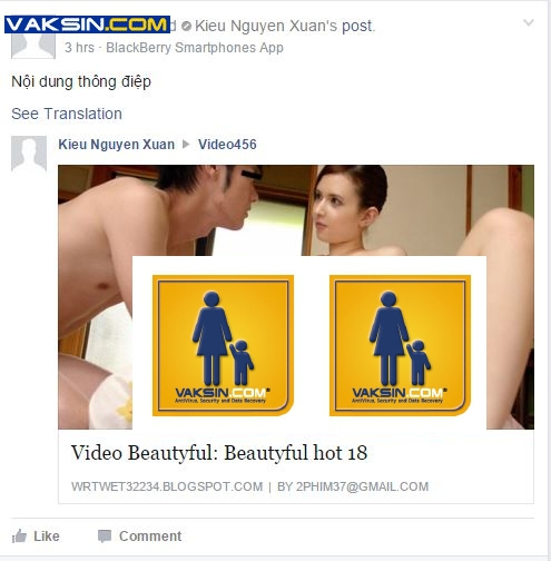 Một ví dụ về Vietnam Rose trên Facebook Indonesia. Ảnh: Vaskin.com