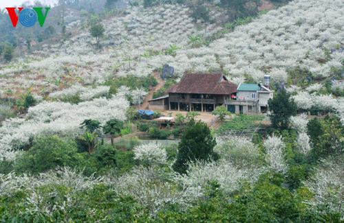 Khung cảnh đẹp lãng mạng hút hồn du khách