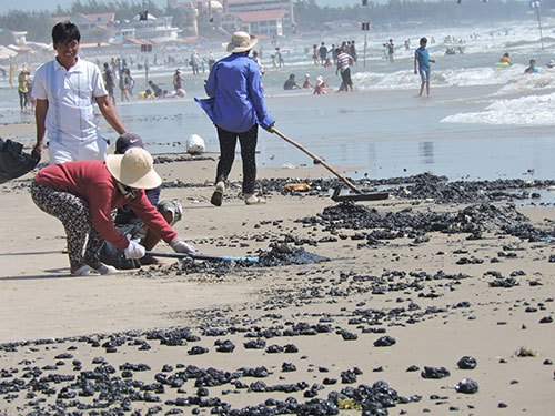 Người dân cũng tham gia thu gom dầu vón cục để trả lại môi trường cho Bãi Sau