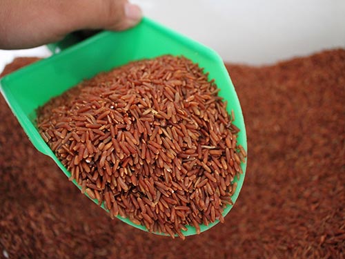 Thỉnh thoảng dùng gạo lứt muối mè chính là biện pháp giải độc an toàn cho cơ thể Ảnh: HOÀNG TRIỀU