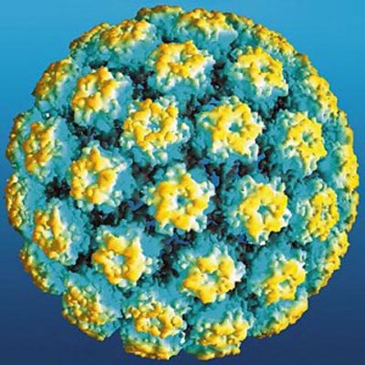 HPV16 dưới kính hiển vi 
Ảnh: ORAL CANCER NEWS