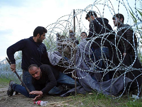 Người tị nạn tìm cách vượt qua hàng rào dây thép gai để vào Hungary Ảnh: AP