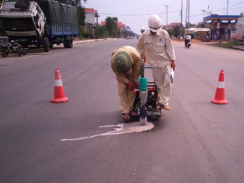 Tổ kỹ thuật của Tập đoàn Sơn Hải khoanh vùng để theo dõi và xử lý các điểm bị tưới hóa chất