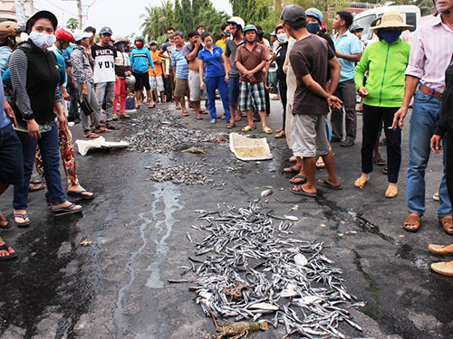 Người dân đổ tôm cá chết trước cổng UBND phường Cam Phúc Bắc