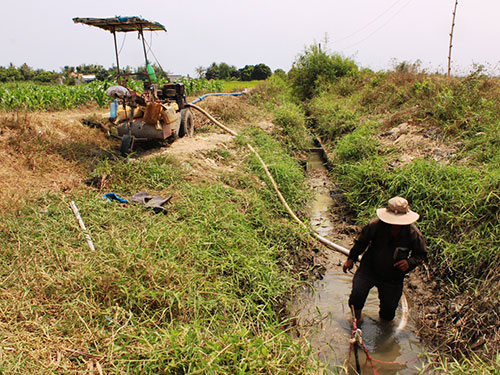 Người dân thuê máy bơm nước cứu lúa