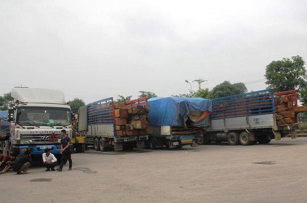 Bắt 11 xe "khủng" chở gỗ quá tải từ Lào về Việt Nam - Báo Người lao động
