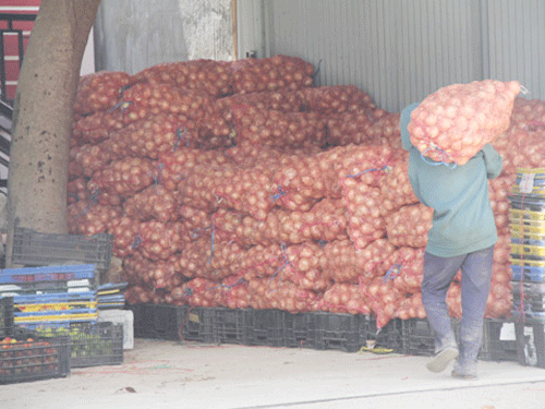 Tồn kho củ hành tây