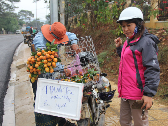 Nhiều người dân Đà Lạt thích thú với trái thanh trà