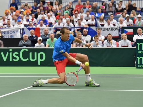 Lukas Rosol không thay thế được vai trò của Berdych hay Stepanek