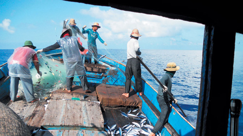 Ngư dân Quảng Ngãi đang đánh bắt cá ở vùng biển thuộc quần đảo Hoàng Sa - Ảnh: Phạm Tấn Huých