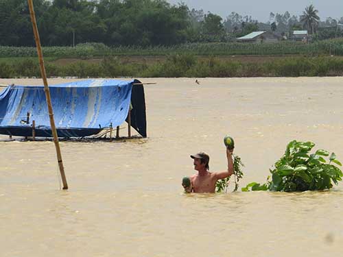 Hàng chục ha dưa hấu của người dân huyện Đại Lộc, tỉnh Quảng Nam chìm trong biển nướcẢnh: VĨNH QUYÊN