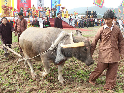 Bộ trưởng Bộ Văn hóa - Thể thao và Du lịch Hoàng Tuấn Anh (bìa trái) xuống cày đầu năm tại lễ hội   Ảnh: TTXVN