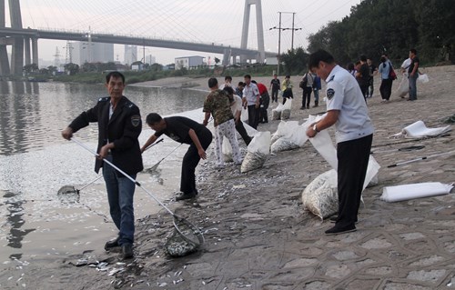 Dọn dẹp chết ở Thiên Tân. Ảnh: Reuters