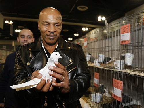 Mike Tyson ở tuổi 49