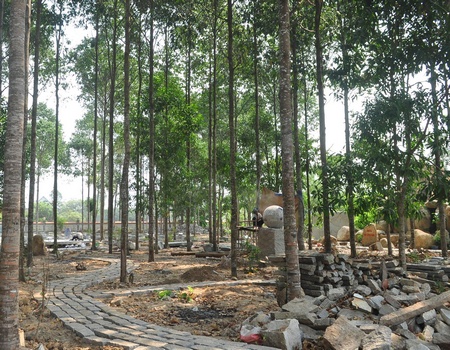 Vườn sao rộng trên 4.000m2, sẽ trở thành vườn kinh đá trong tương lai.