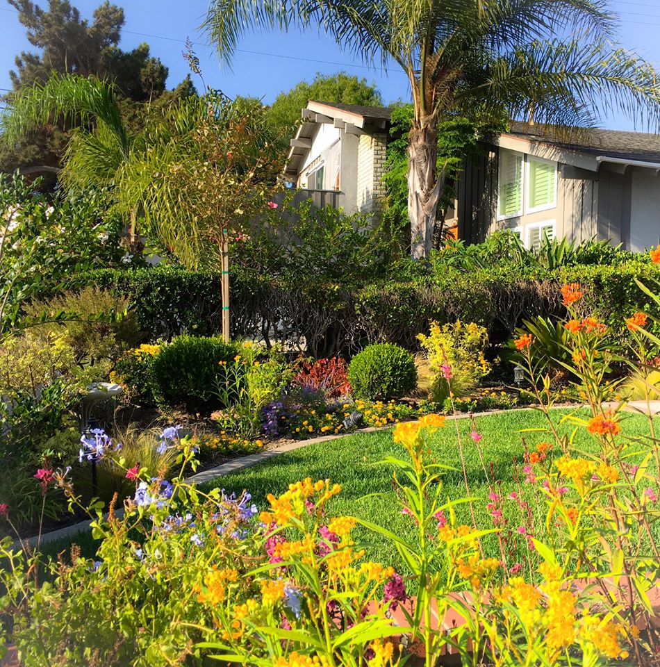Hãy khám phá ngôi nhà vườn đầy sắc màu chào đón 2024! Với các loại hoa và cây đa dạng, không gian sống của bạn sẽ tràn đầy niềm vui và sức sống. Tận hưởng những khoảnh khắc đáng nhớ và thư giản trong không gian tươi đẹp này.