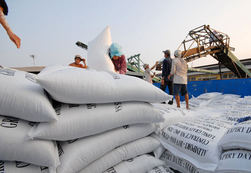 Gạo Việt ngày càng yếu thế trên thương trường Ảnh: Ngọc Trinh