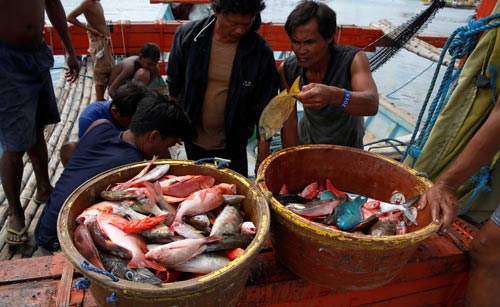 Ngư dân Philippines trở về TP Subic hôm 1-11 sau chuyến đánh cá ở ngoài bãi cạn Scarborough Ảnh: REUTERS