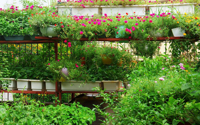 Nếu bạn đang tìm kiếm một nơi yên tĩnh để thư giãn, vườn hoa đẹp trên sân thượng chắc chắn sẽ là lựa chọn hợp lý nhất vào năm