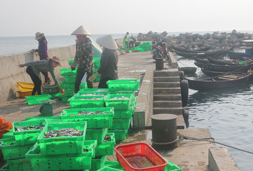 Ngư dân đánh bắt cá tại thị xã Kỳ Anh, tỉnh Hà Tĩnh sau sự cố môi trường do Formosa gây ra Ảnh: ĐỨC NGỌC