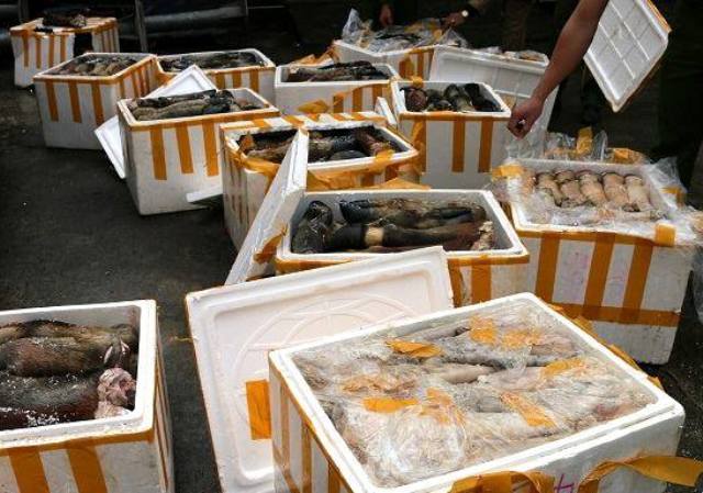  S&ocirc;́ ch&acirc;n, đu&ocirc;i bò b&ocirc;́c mùi h&ocirc;i th&ocirc;́i kh&ocirc;ng rõ ngu&ocirc;̀n g&ocirc;́c 