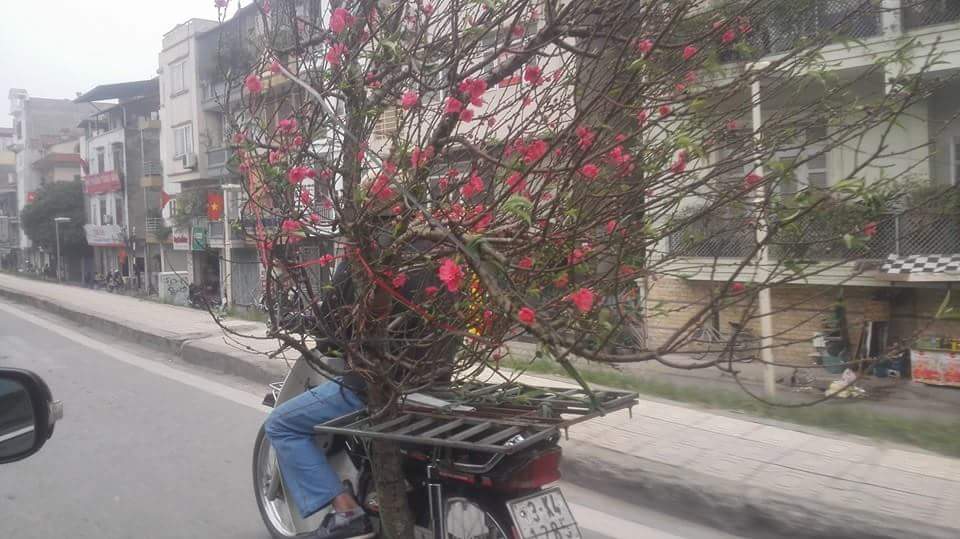 Nhớ mưa bụi!