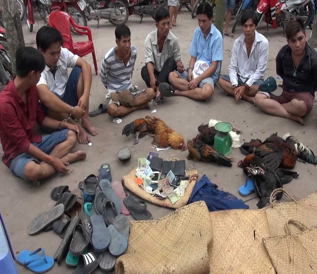 Bắt trường gà trong vườn tre, hàng chục người tuôn chạy