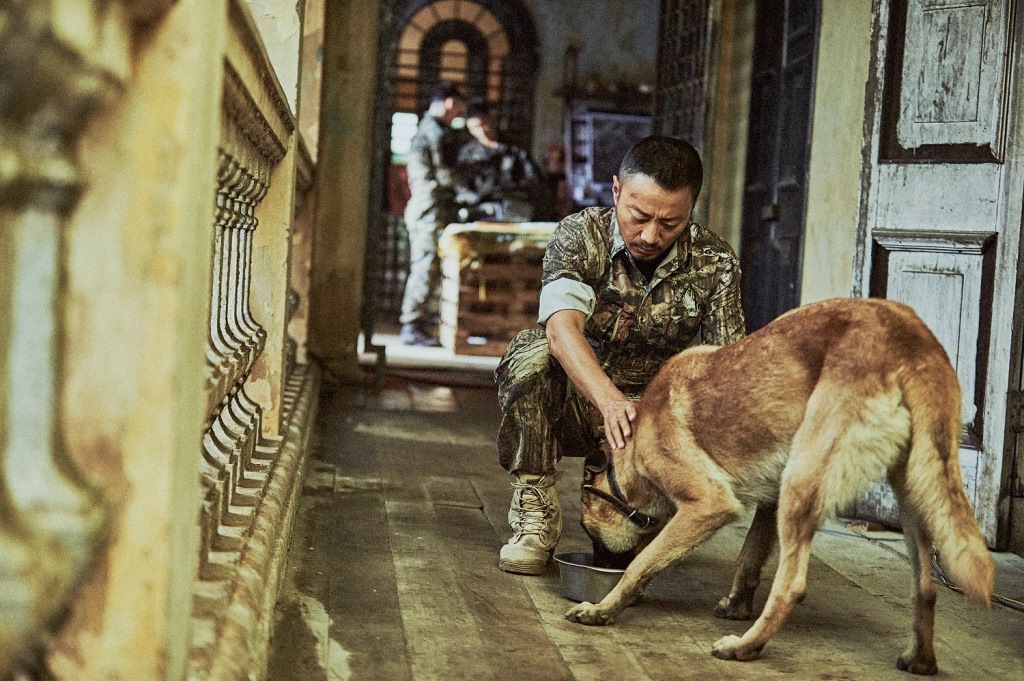  Cảnh khuyển được vinh danh trong phim 