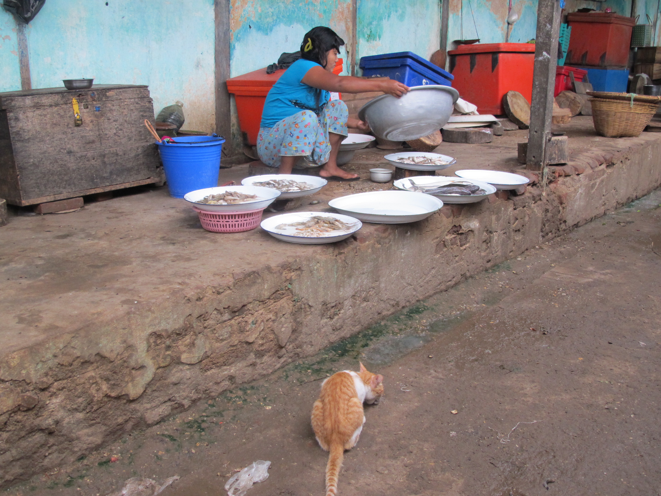 Phượt Myanmar với 6 triệu, chút đỉnh tiếng Anh, tin không?