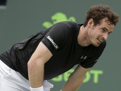 Andy Murray liên tục thất bại các giải đầu năm 2017