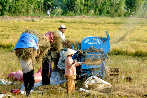 
Đang có nhiều dự án khởi nghiệp trong lĩnh vực nông nghiệp được nhà đầu tư quan tâm
