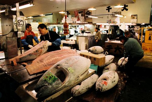 
Một góc chợ cá Tsukiji. Ảnh: Flickr.
