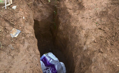 
Vị trí chôn giấu thi thể chị Mai Thị Anh Đào.

 
