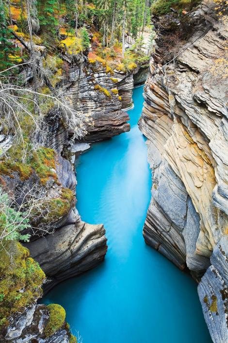 
Vườn quốc gia Jasper ở tỉnh Alberta, Canada - Ảnh: National Geographic
