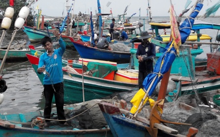 
Các tàu cá đánh bắt nhỏ thường vào sông Dương Đông để bán các loại hải sản đánh bắt được
