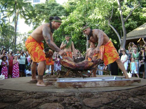 
Kalua, Hawaii, Mỹ: Lợn sau khi làm sạch sẽ được nhồi đá nóng vào trong, bọc lá chuối hoặc lá ti rồi phủ bên ngoài lớp cát, sau đó nướng 6-7 giờ trong lò ngầm (gọi là IMU). Đây là món ăn truyền thống của người Hawaii bản địa. Ảnh: oregonstate
