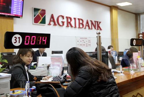 Khách hàng giao dịch tại Agribank