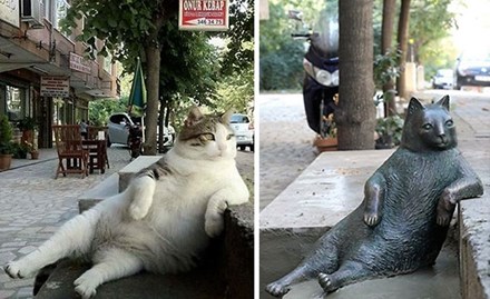 Mèo ú đã trở thành biểu tượng của thành phố Istanbul và đến nay, họ vẫn được tôn vinh bằng cách tạo ra những tác phẩm nghệ thuật. Hãy cùng xem tác phẩm tạc tượng của mèo ú này để cảm nhận vẻ đẹp tươi sáng và đầy sống động của những chú mèo đáng yêu này.