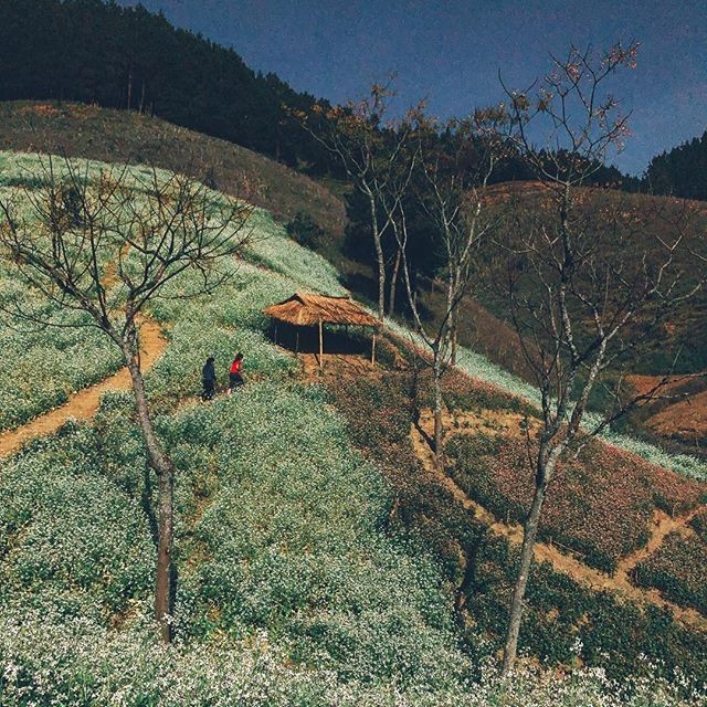 Cảnh đẹp cao nguyên khiến bạn chẳng muốn rời chân