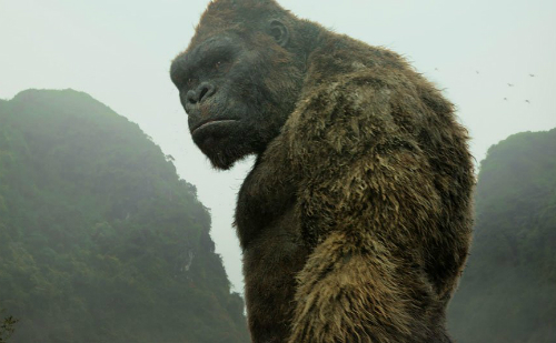
Bộ phim Kong: Skull Island được quay nhiều cảnh tại Việt Nam

