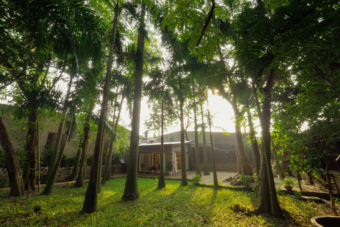 Nhà vườn đầy cây xanh mát ở Hà Nội - Báo Người lao động