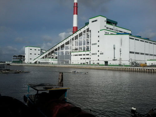 Tỉnh Hậu Giang có chủ trương nuôi cá tại ống xả thải của Nhà máy Giấy Lee & Man Ảnh: CÔNG TUẤN