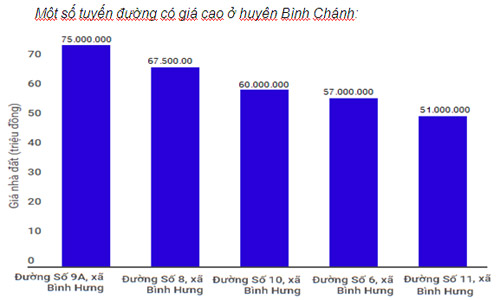 Những cung đường có giá đất cao thuộc huyện Bình Chánh dẫn đầu các tuyến phố có giá cao ở 3 huyện.